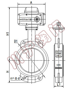 精小型電動調節(jié)蝶閥 結構圖