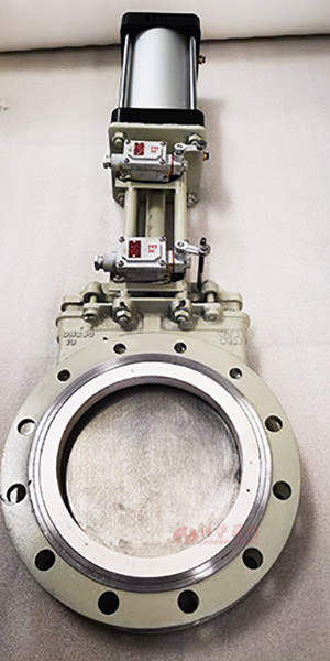 ����մɵ��l�y