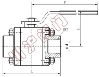 �䓸߉����y �Y���D