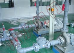 �����y�T(m��n)ʹ�ìF(xi��n)��(ch��ng)